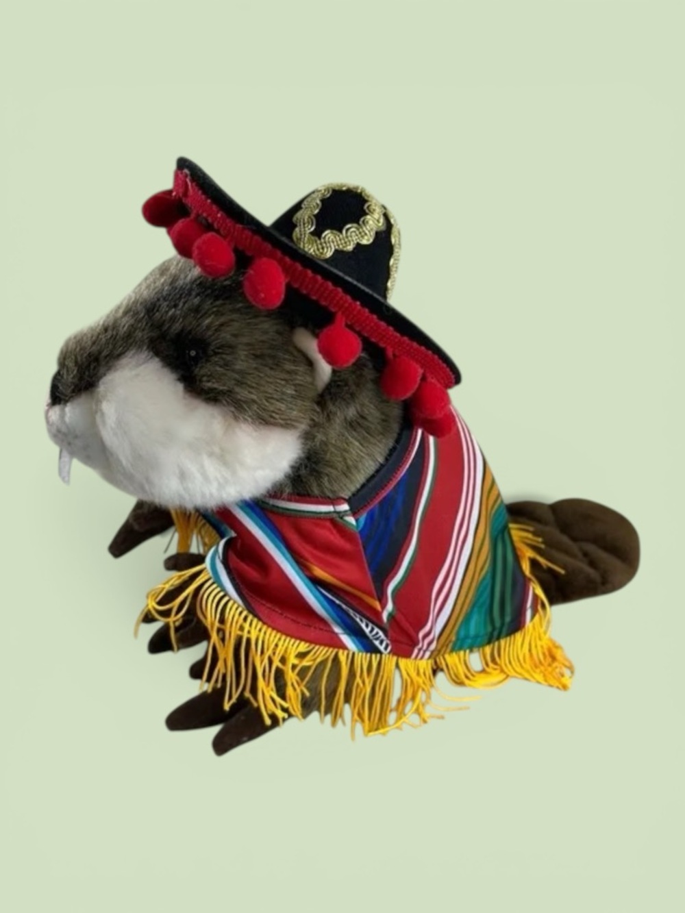 Cinco de Mayo Costume with Sombrero for Small Dog